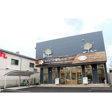 ADACHI動物病院