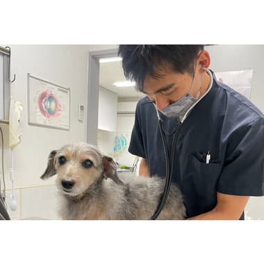 氷川町動物病院