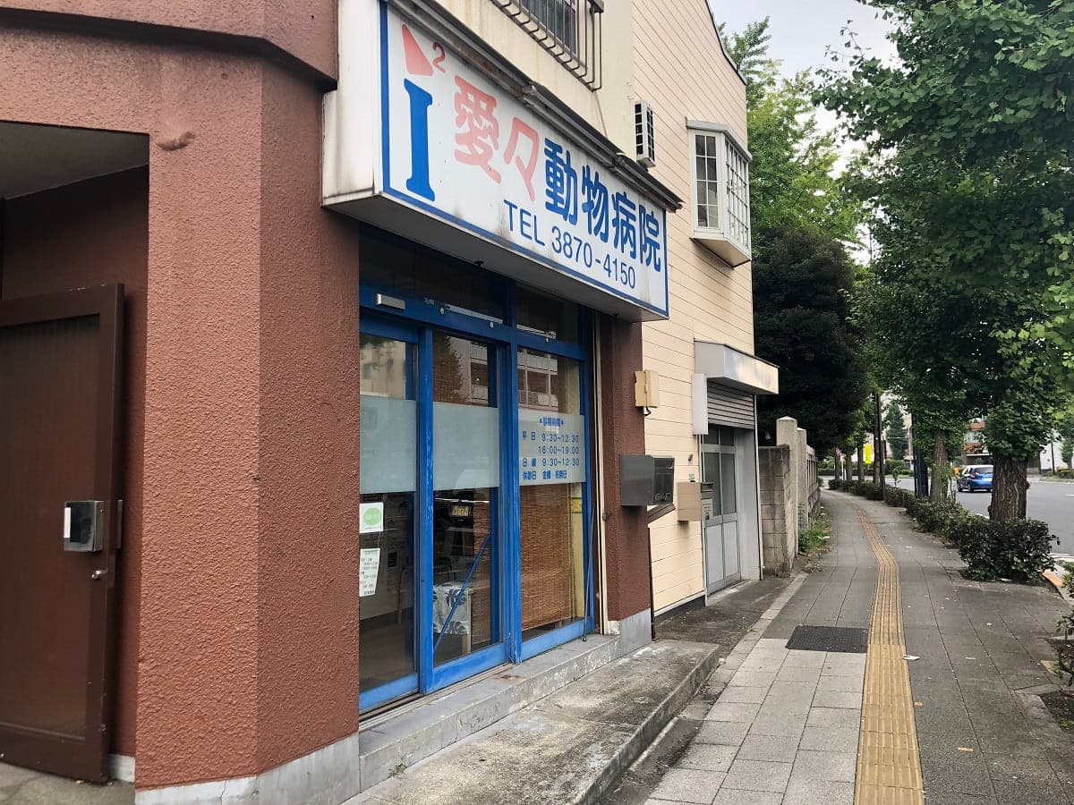 愛々動物病院