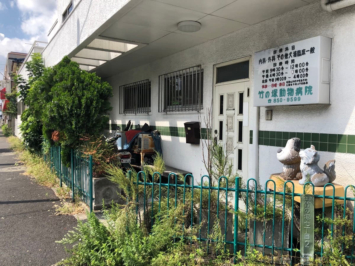 竹の塚動物病院