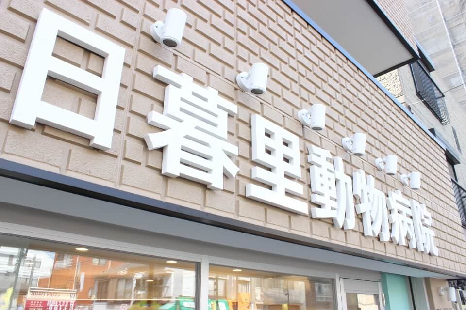 日暮里動物病院 2