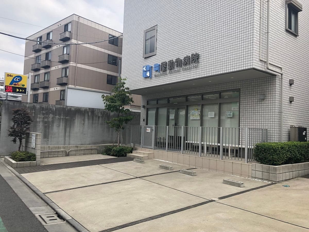 町屋動物病院