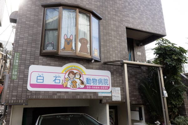 白石動物病院