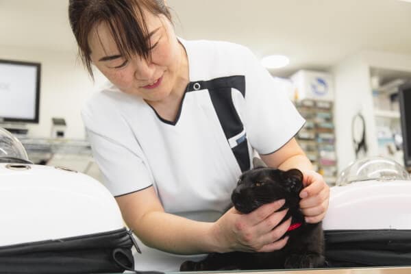 白石動物病院 2
