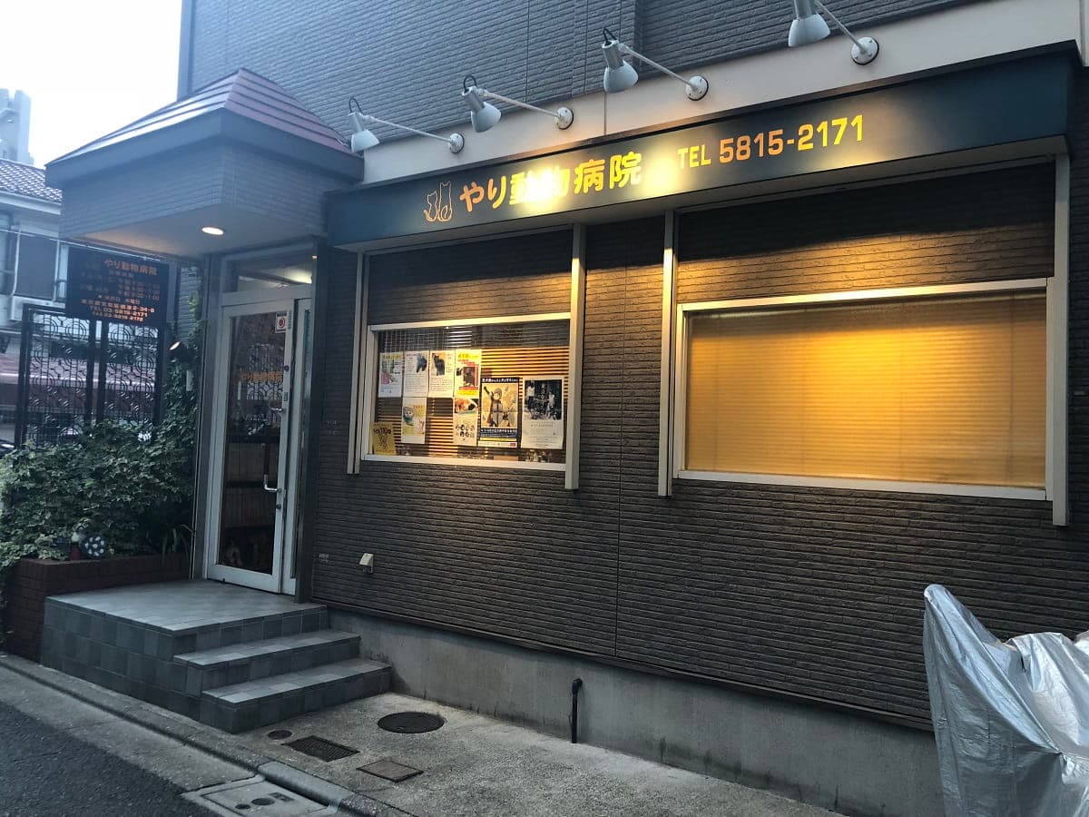 やり動物病院