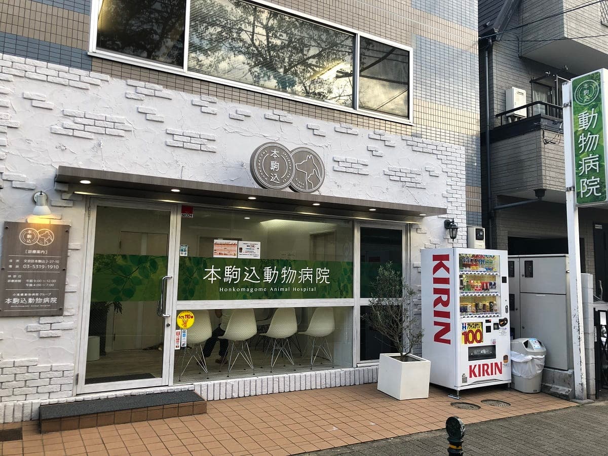 本駒込動物病院
