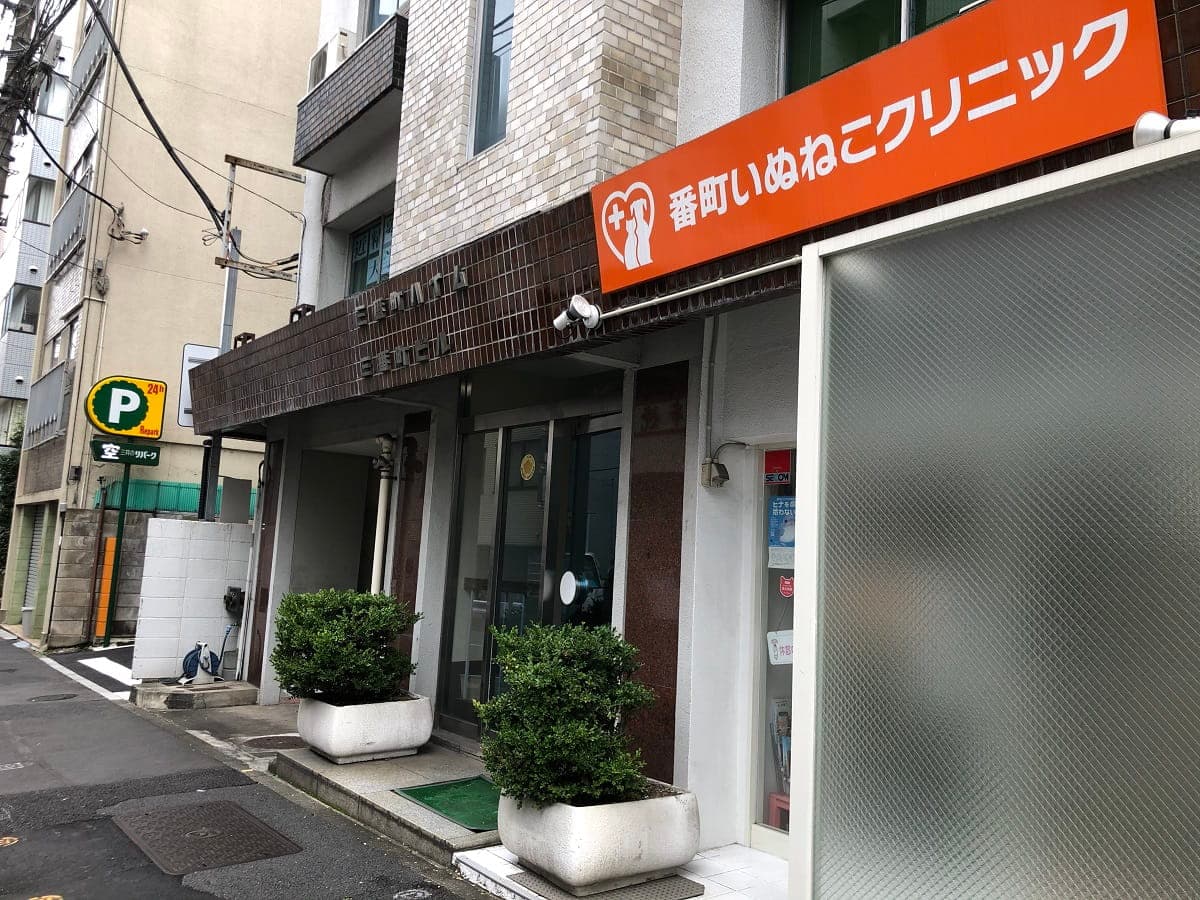 番町いぬねこクリニック