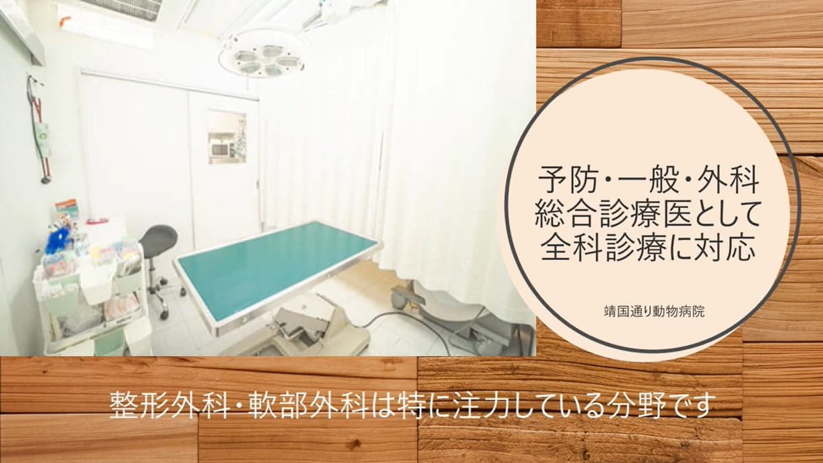 靖国通り動物病院 【2025年5月11日開院】 3