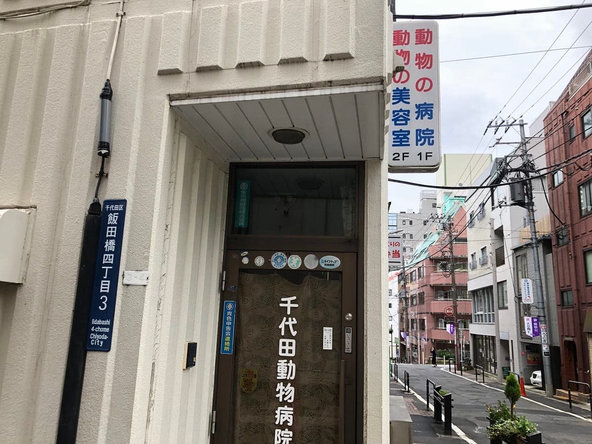 千代田動物病院