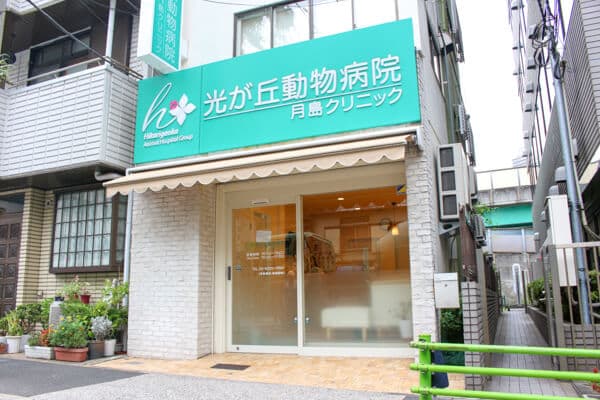 光が丘動物病院 月島クリニック 2