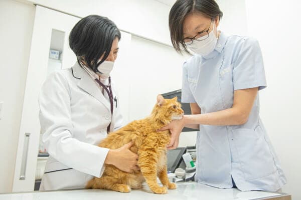 アーツ人形町動物病院
