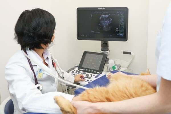 アーツ人形町動物病院 2