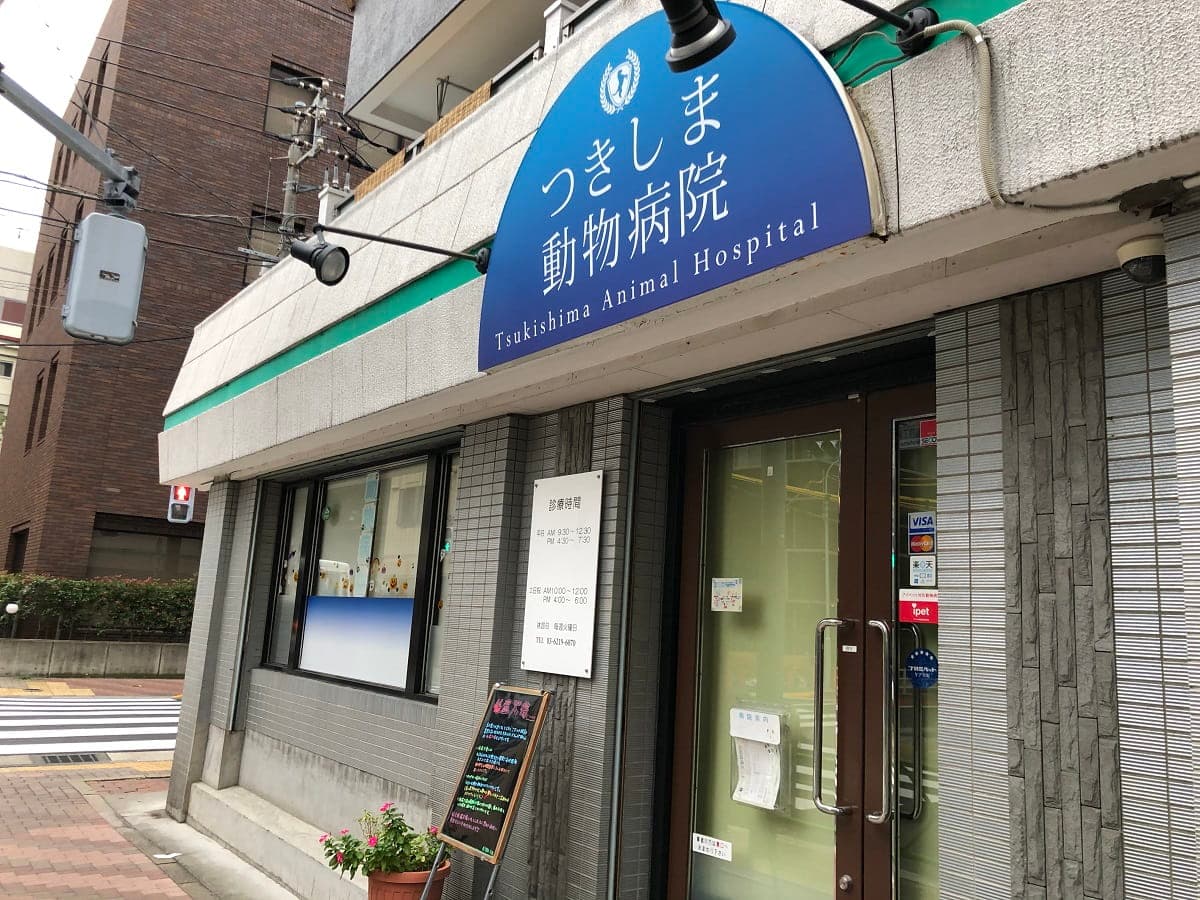 つきしま動物病院
