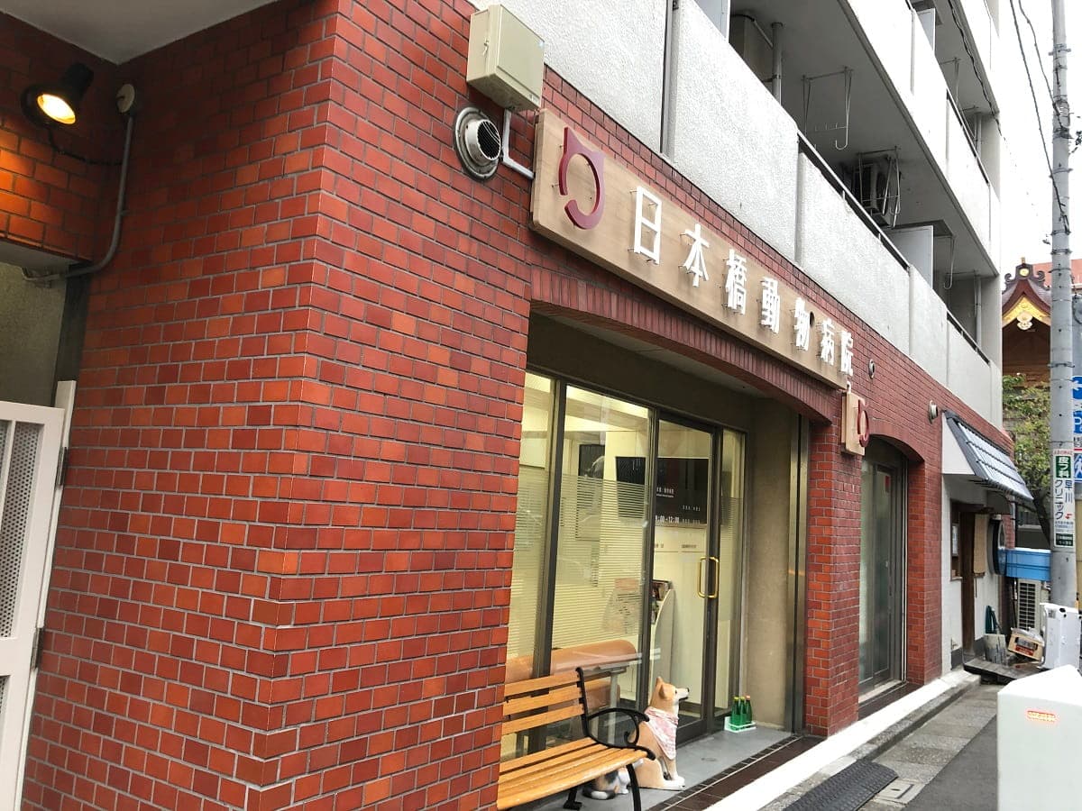 日本橋動物病院