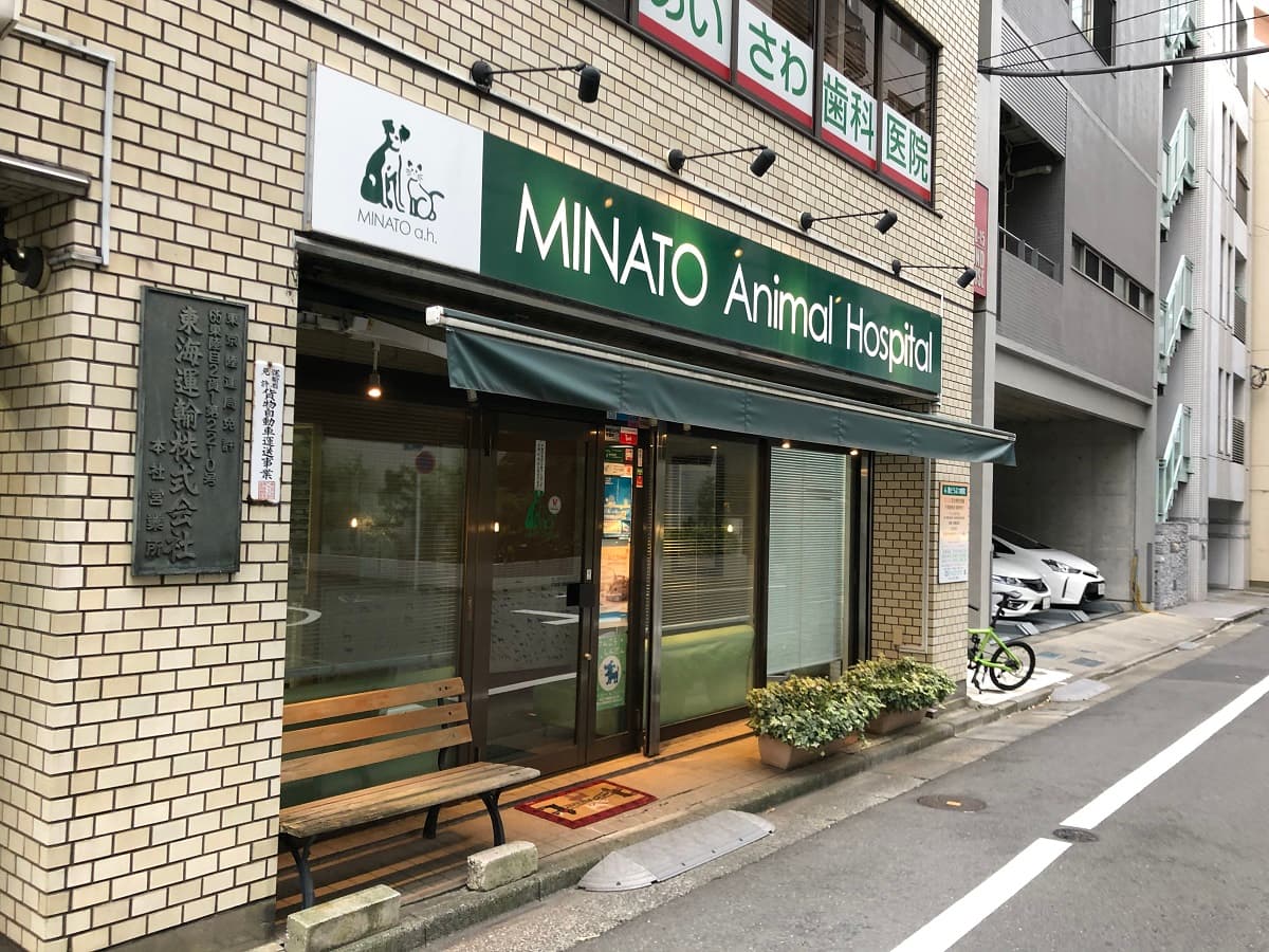 湊どうぶつ病院