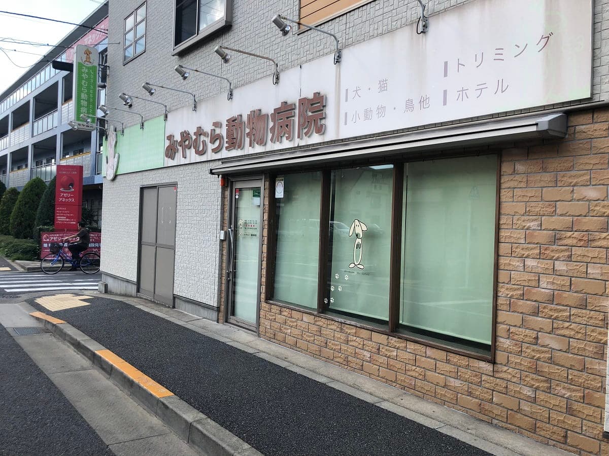みやむら動物病院