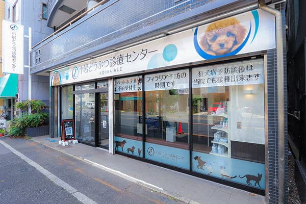 小岩どうぶつ診療センター