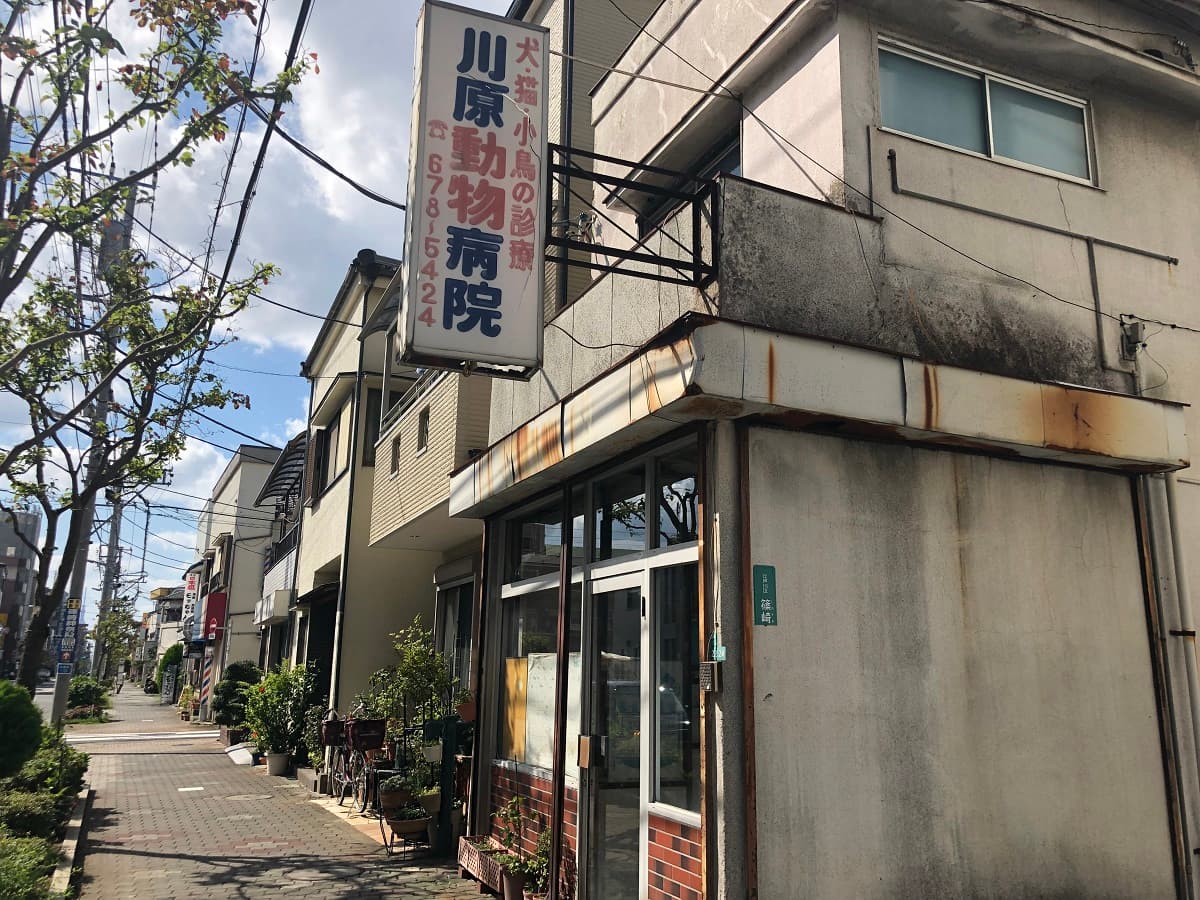 川原動物病院