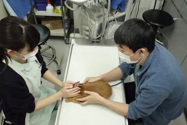 桜井動物病院 3