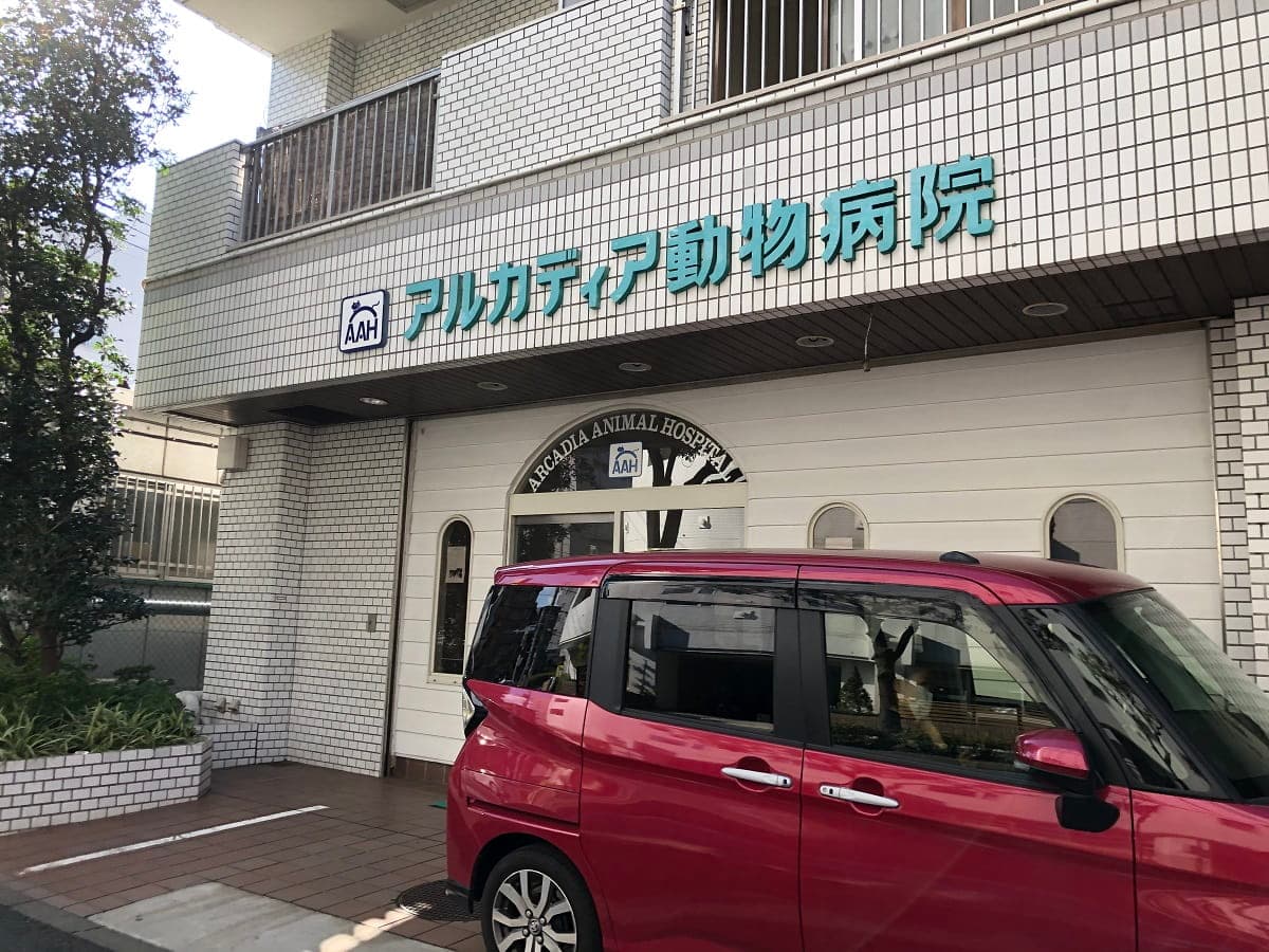 アルカディア動物病院