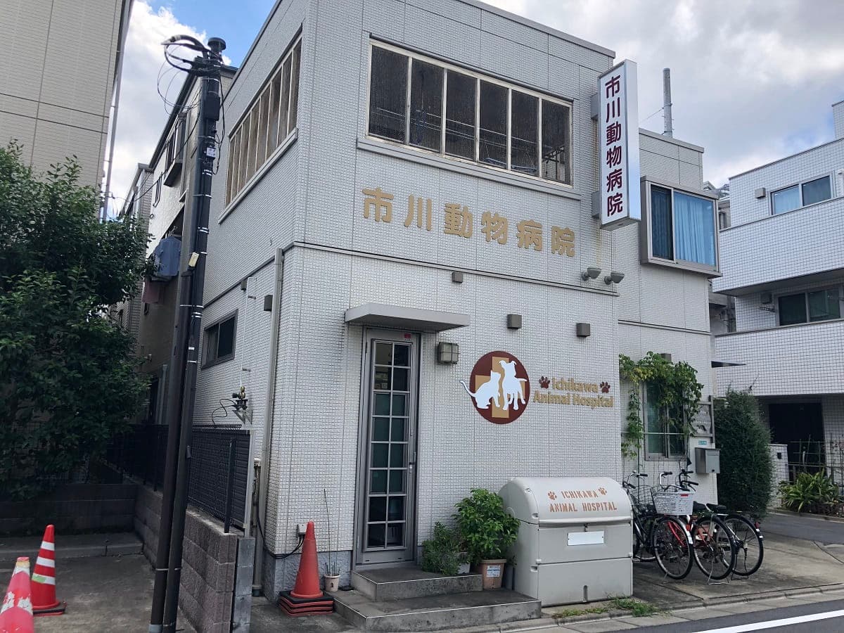 市川動物病院