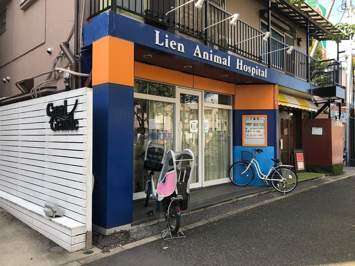 リーン動物病院