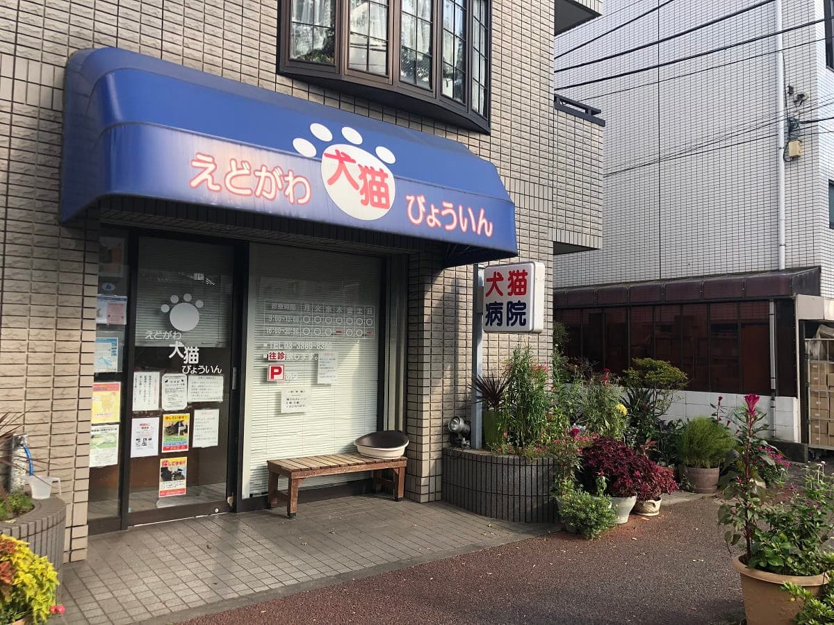 えどがわ犬猫びょういん