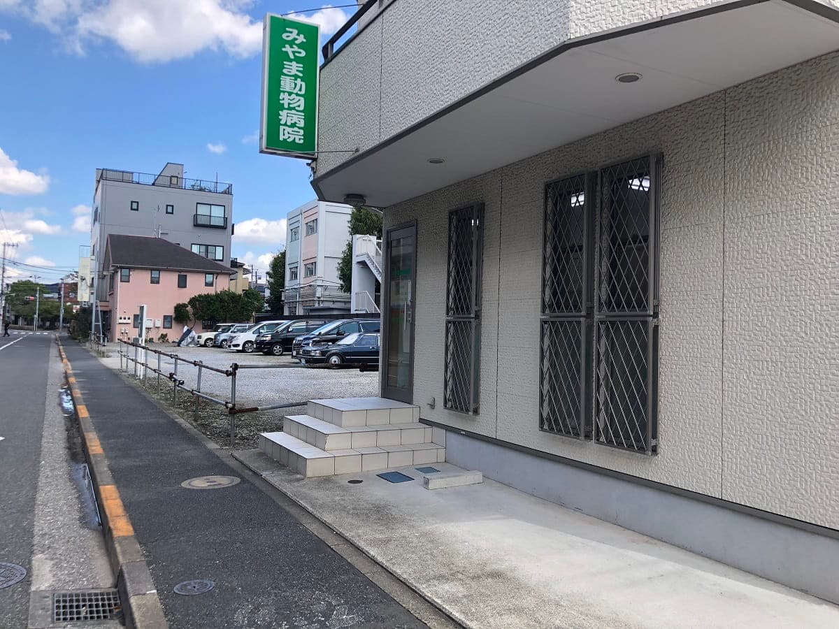 みやま動物病院