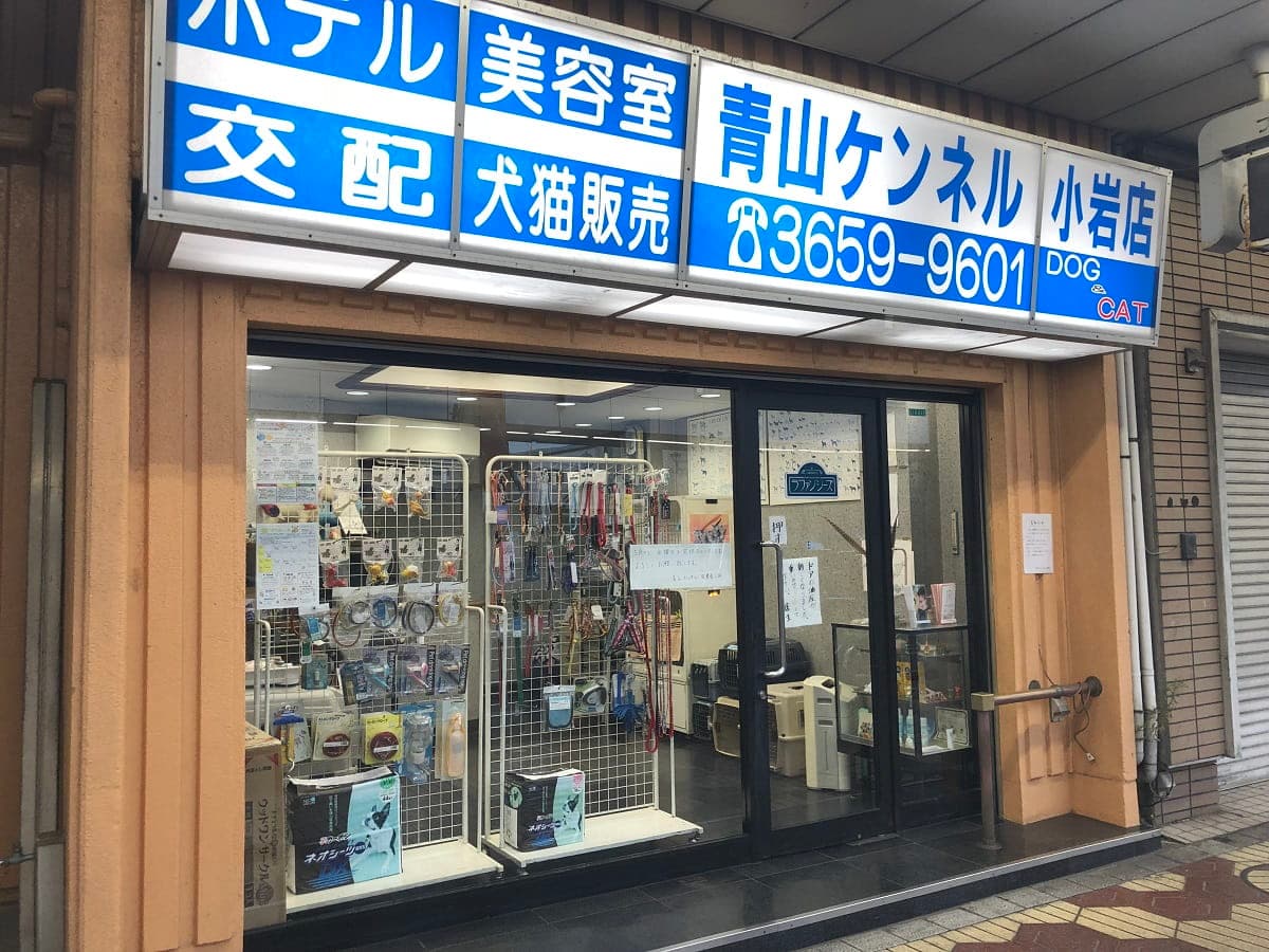 青山ケンネル 小岩店