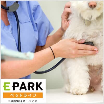 ポプラ動物病院