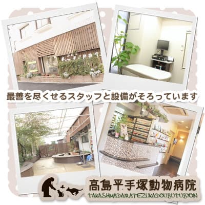 高島平手塚動物病院