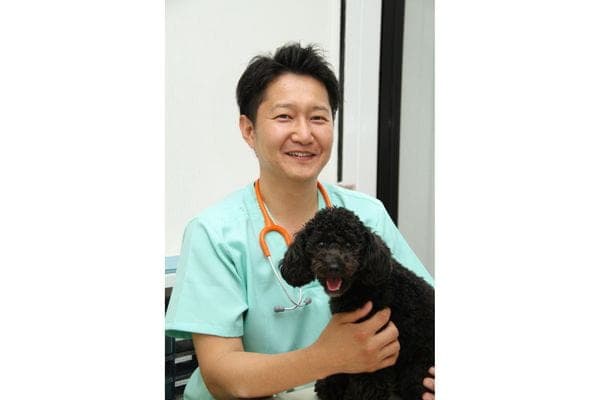 DOG TOWN AZUSAWA CLINIC