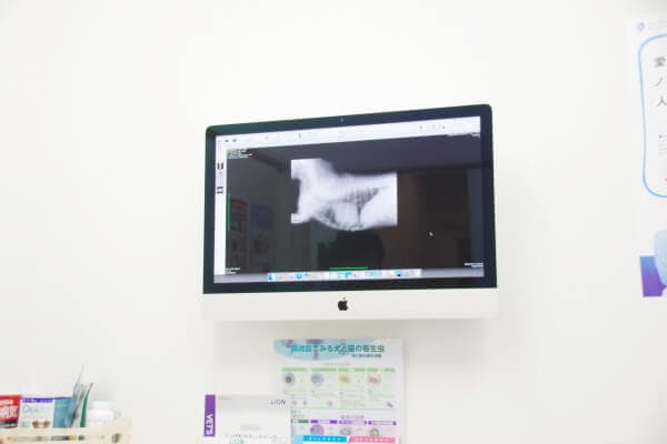 DOG TOWN AZUSAWA CLINIC 3