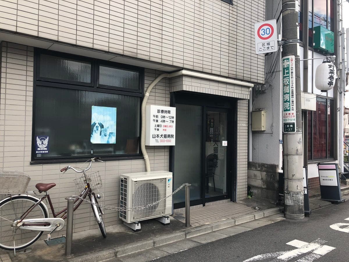 山本犬猫病院