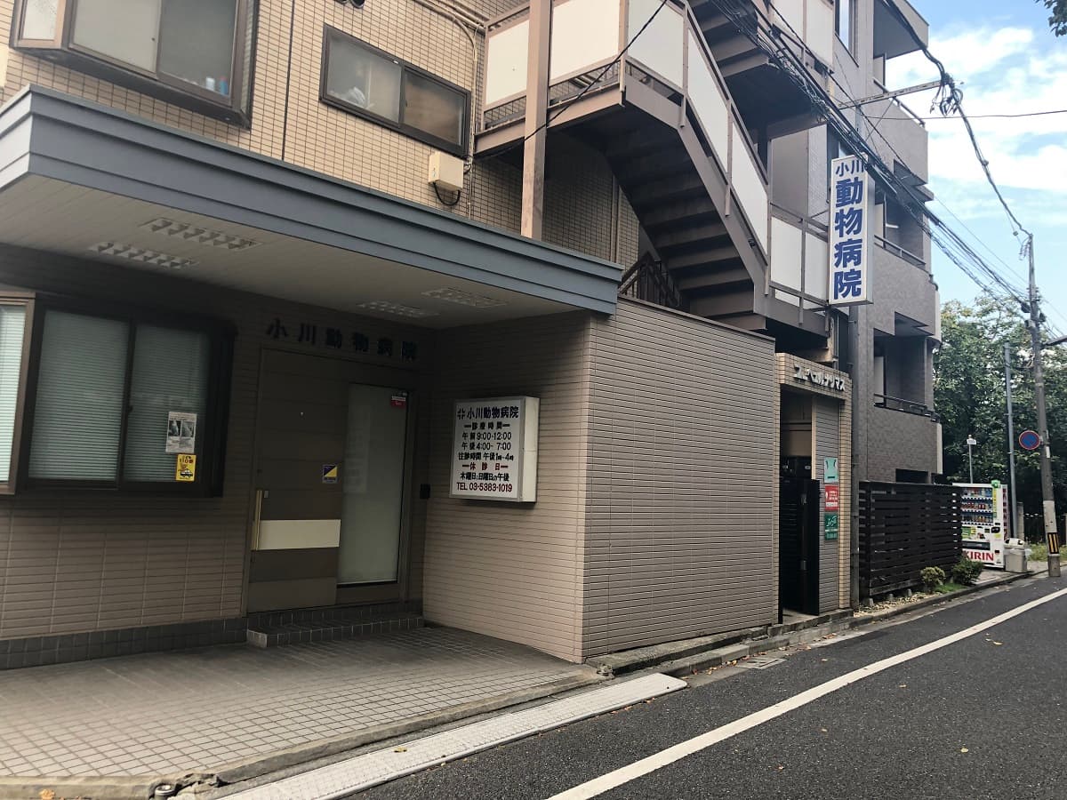 小川動物病院