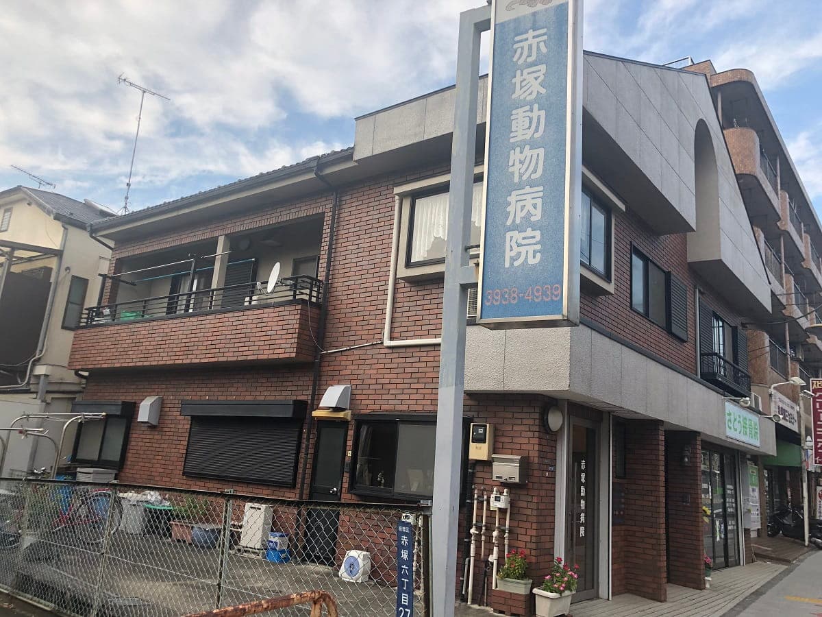 赤塚動物病院