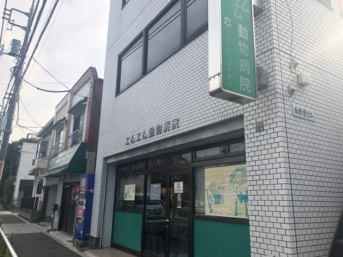 エム・エム動物病院