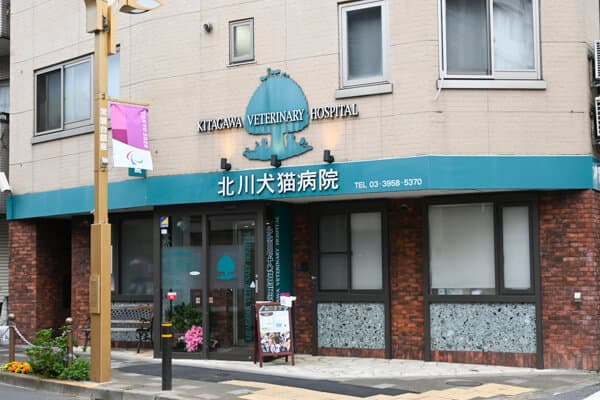 北川犬猫病院 2