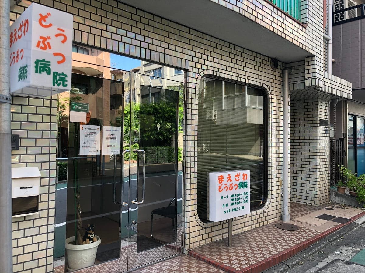 まえざわどうぶつ病院
