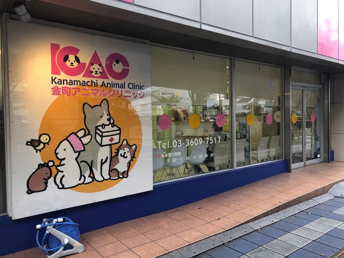 金町アニマルクリニック