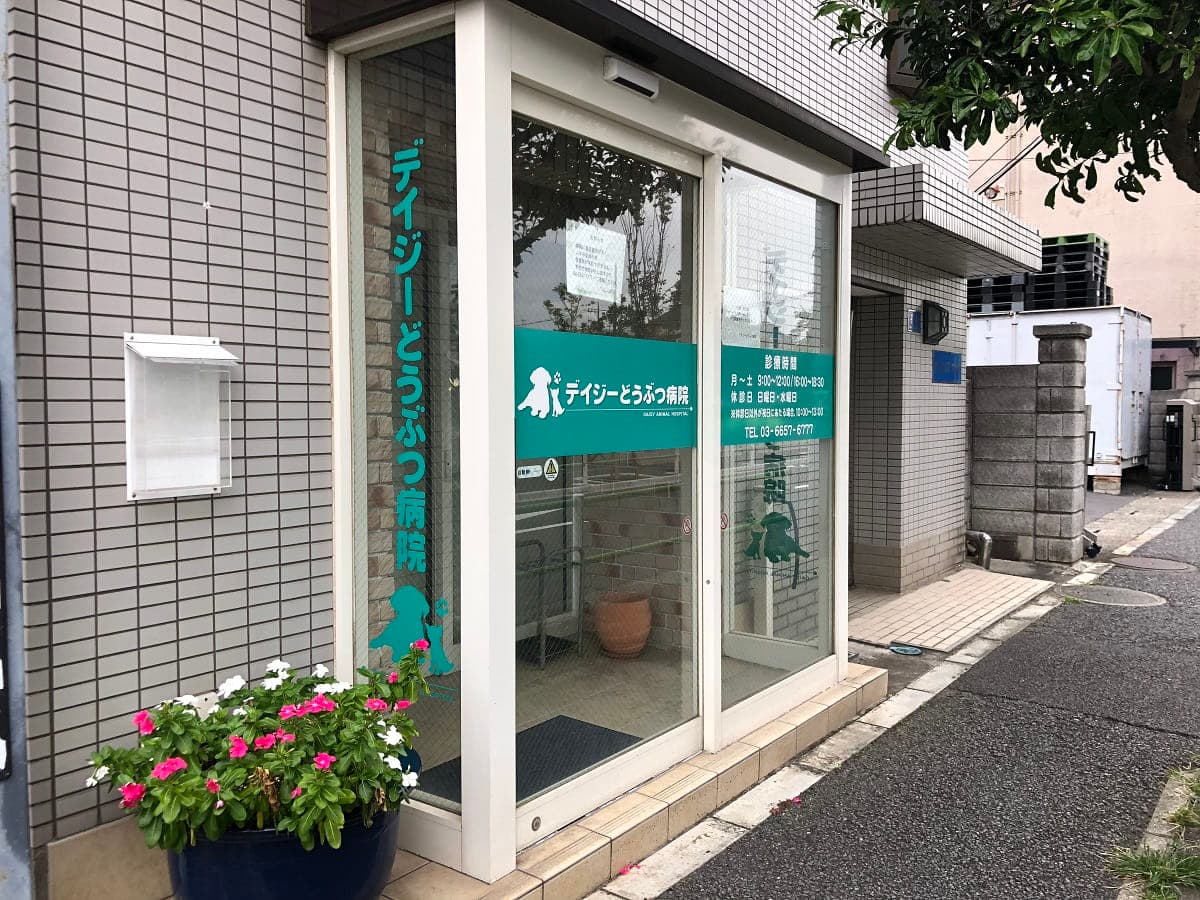 デイジーどうぶつ病院