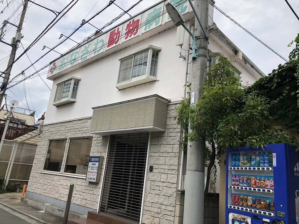 あなざわ動物病院