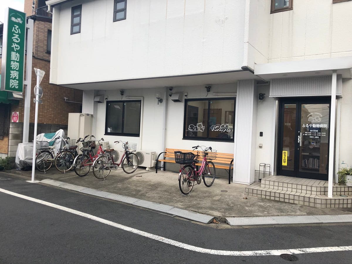 ふるや動物病院