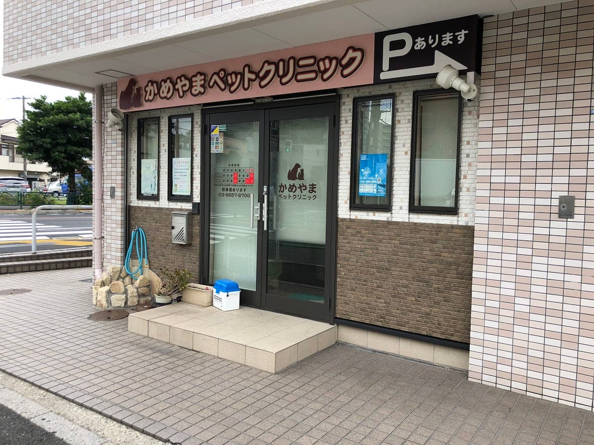 かめやまペットクリニック