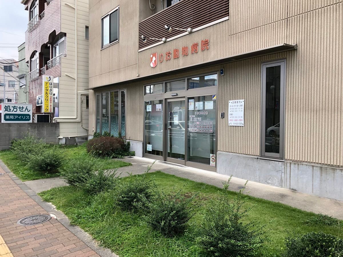 りお動物病院