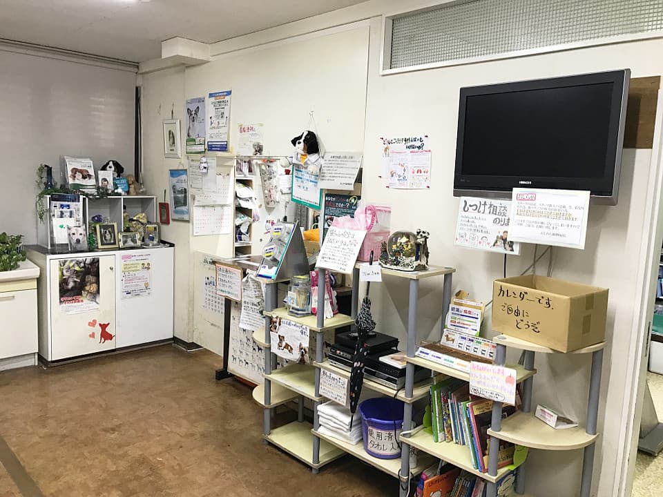 ふじわら動物病院