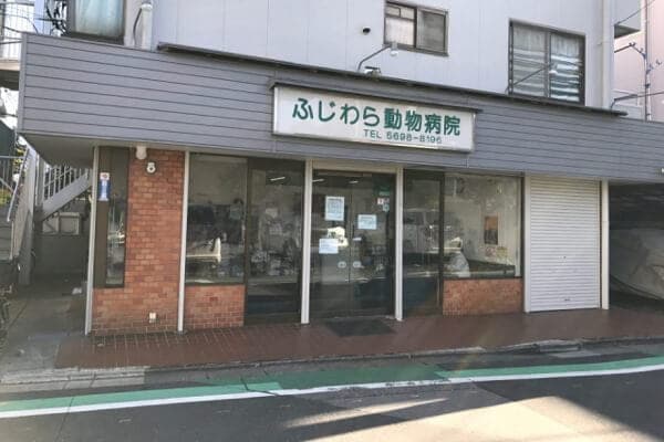 ふじわら動物病院 3