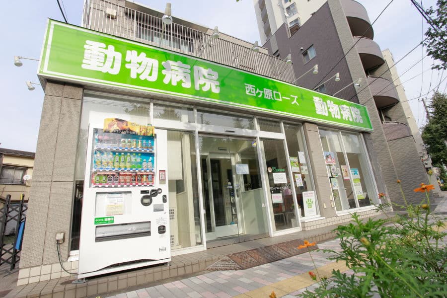 西ヶ原ローズ動物病院 2