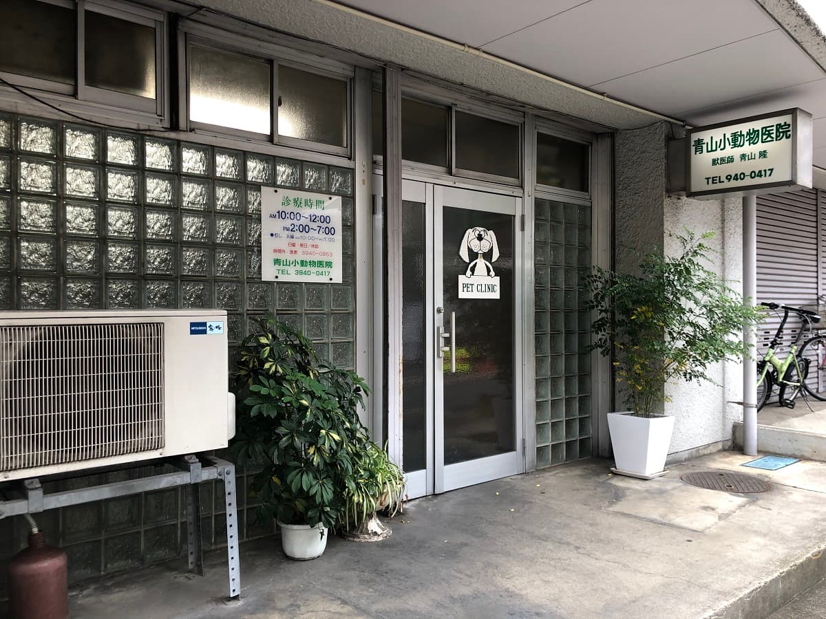 青山小動物医院