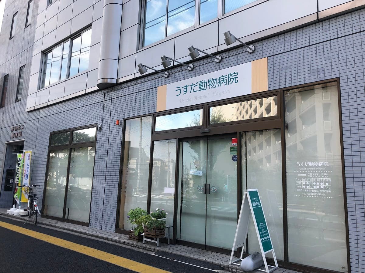 うすだ動物病院